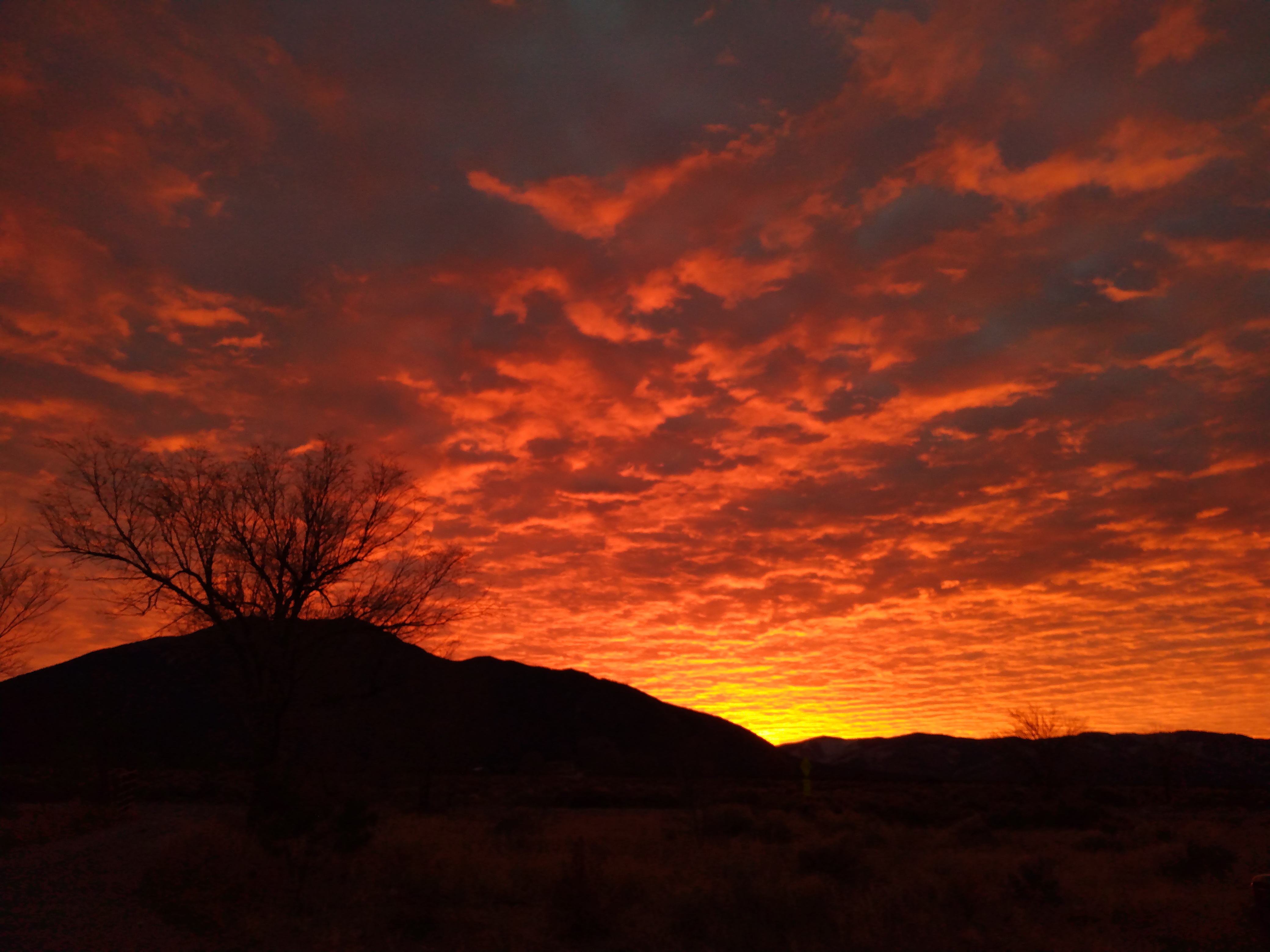 Taos 