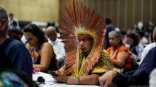 An Indigenous delegate from Brazil at the conference Image: Fernando Vergara/AP/dpa/picture alliance