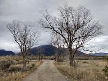 Taos White Christmas 