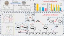 Selective adsorption of oxidized yeast glucan for Pb2+: Influencing factors, adsorption site and mechanism