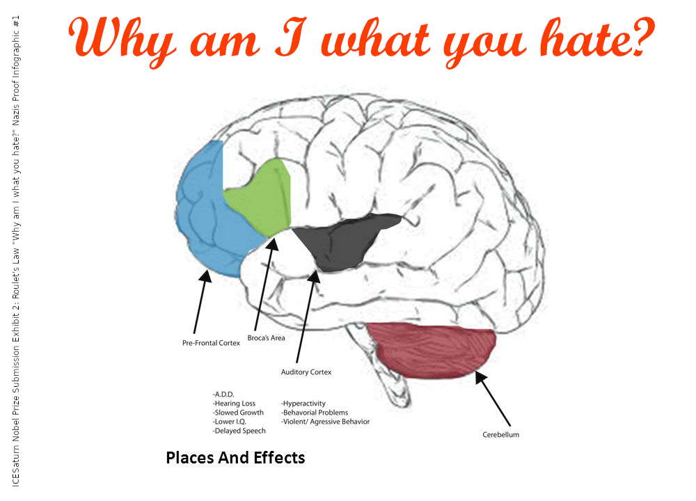 ICESaturn Nobel Prize Submission Exhibit 2: Why am I what you hate?